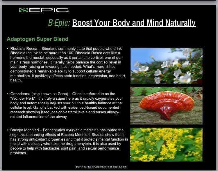 Bepic Elev8 Products and Supplements contain all natural ingredients, energy, mood, nootropics